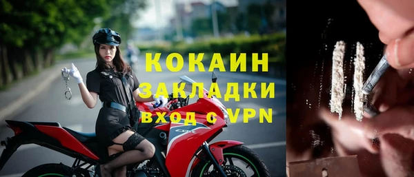 дживик Каменногорск