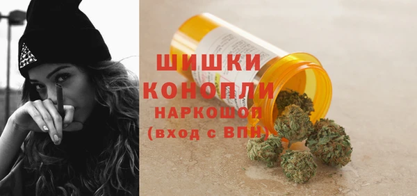 дживик Каменногорск