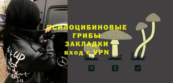 дживик Каменногорск
