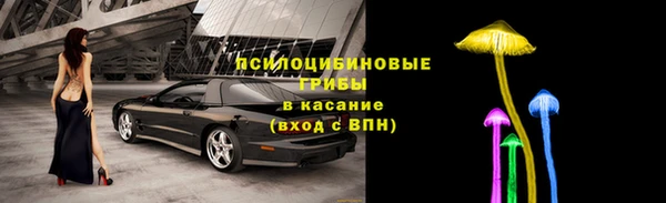 дживик Каменногорск
