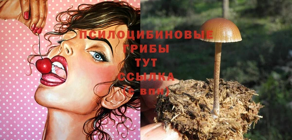 МДПВ Каменка