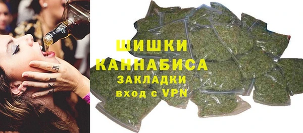 дживик Каменногорск