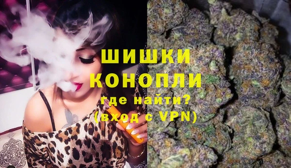 дживик Каменногорск