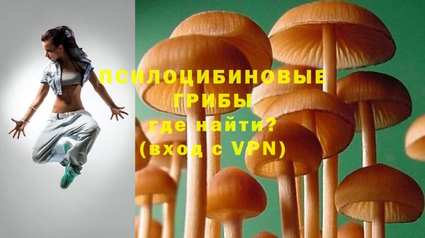 дживик Каменногорск