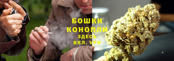МДПВ Каменка