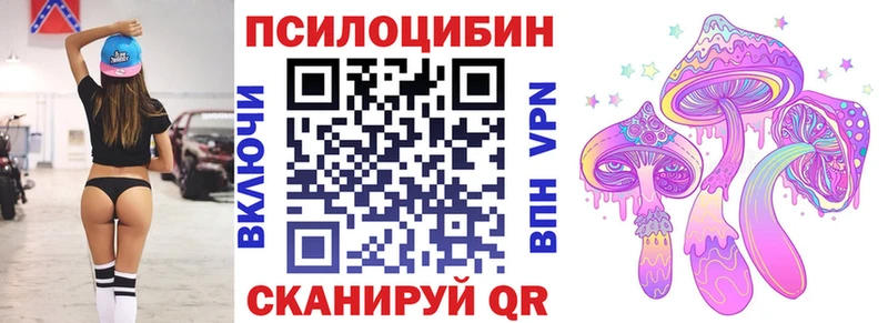 сколько стоит  Мышкин  Псилоцибиновые грибы GOLDEN TEACHER 